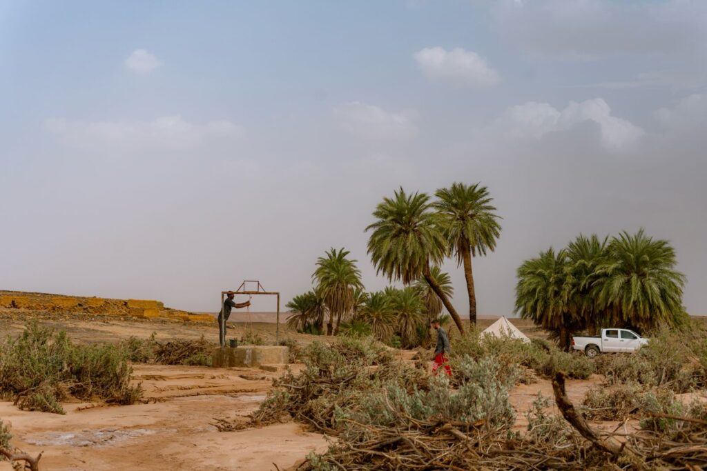 Desert Safari – a Comfortable Adventure