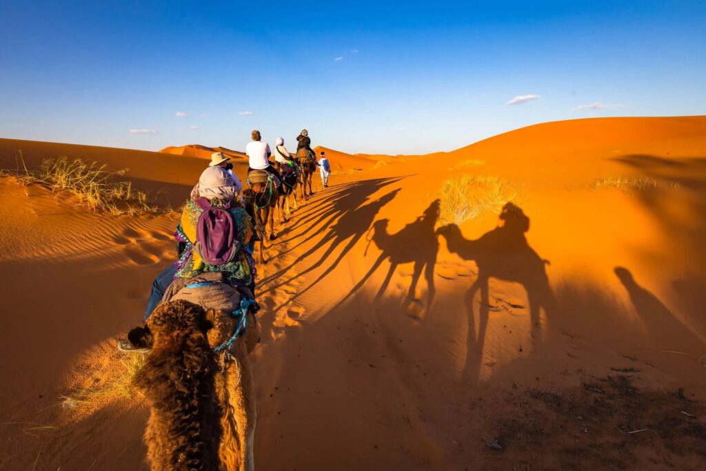 camel-shadows-in-sahara-with-tourists-2024-11-26-13-00-36