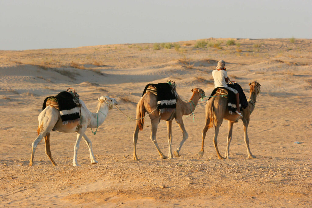 morocco tours
