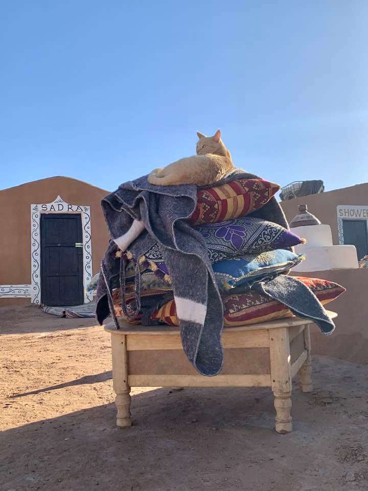 Camel riding near Morocco desert camp