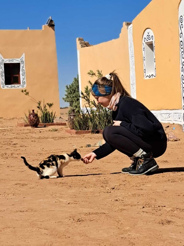 Traditional Berber experience in Morocco desert camp